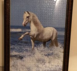 پازل طرح اسب