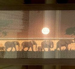 پازل 1000 تکه راونزبرگر مدل  فیل‌ها در عبور از ساوانا