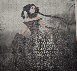 تابلو پازل چیده شده 1000 تکه ana cruse