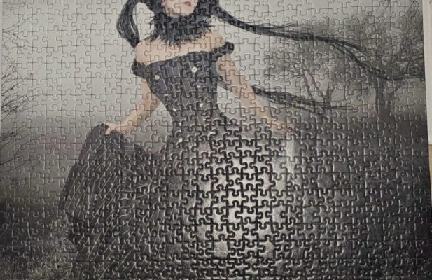 تابلو پازل چیده شده 1000 تکه ana cruse