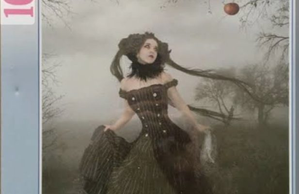 تابلو پازل چیده شده 1000 تکه ana cruse